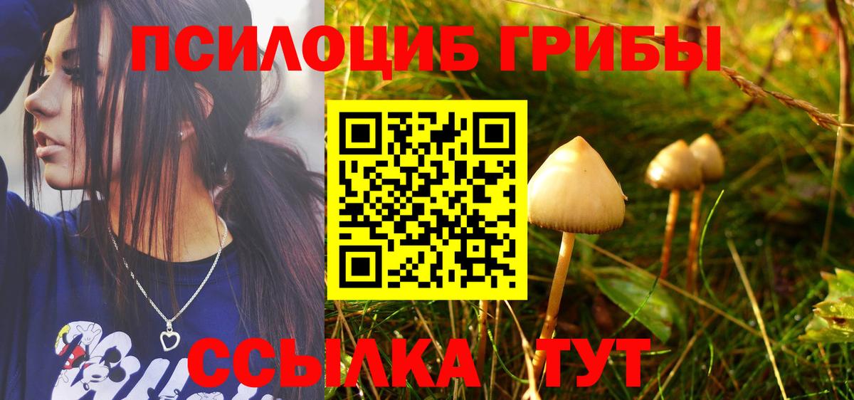 Псилоцибиновые грибы мухоморы Озёры