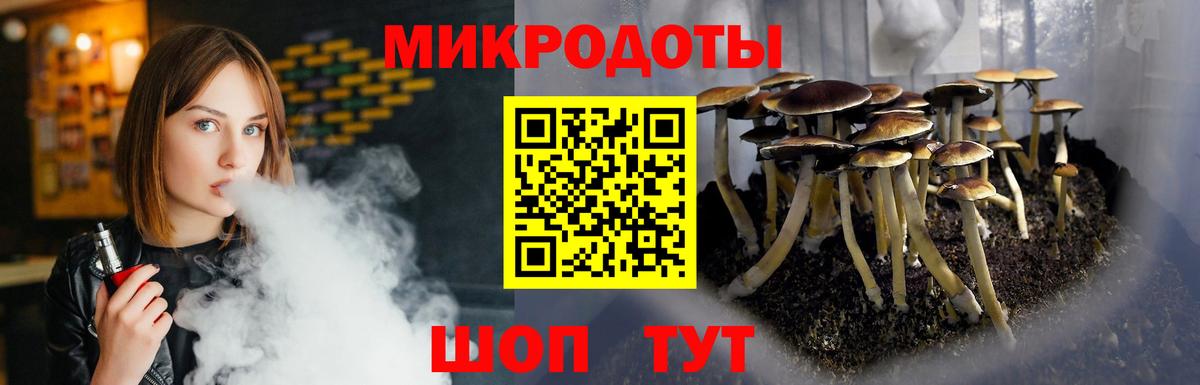 Озёры  Галлюциногенные грибы Cubensis  Вход с VPN 